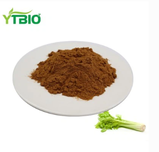 Celery extract Powder